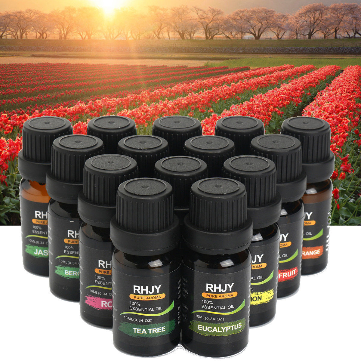 14-Piece Essential Oil Set